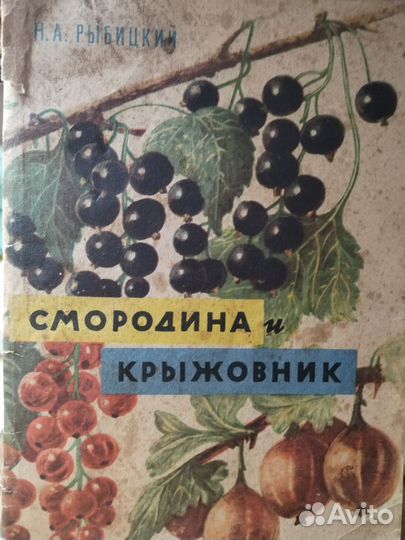 Смородина и крыжовник Рыбицкий Н. А