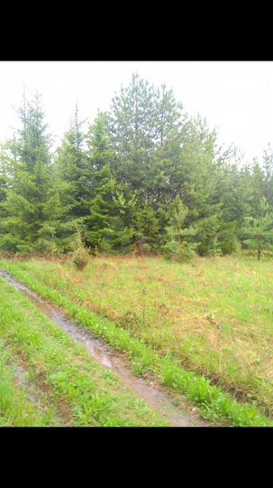 Дача 20 м² на участке 10 сот.