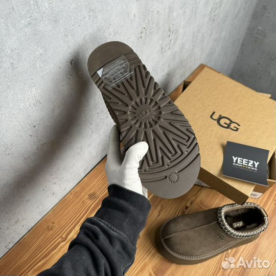 Женские Тапочки Ugg Tazz New Hickory