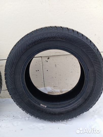Gislaved Nord Frost 200 195/65 R15 100