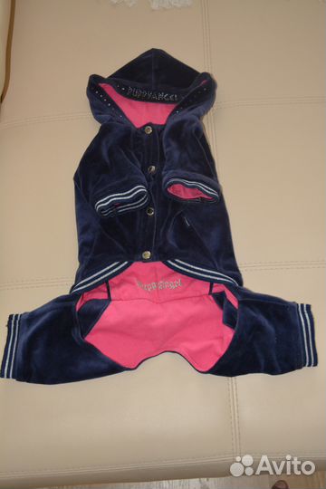 Костюм для маленьких собак