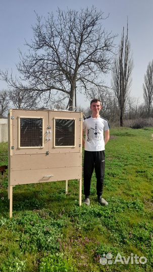 Брудеры для цыплят