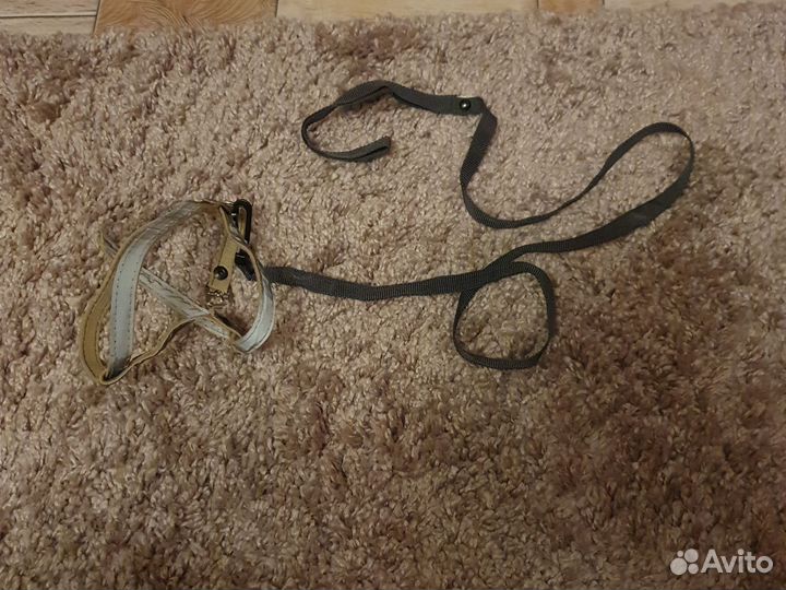 Шлейка для щенка, хорька, кота