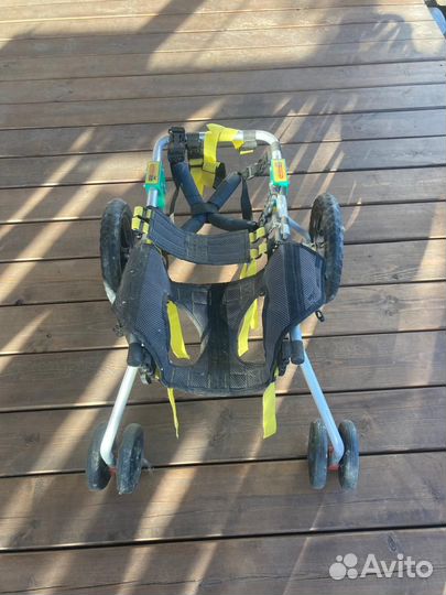 Коляска для собаки-инвалида