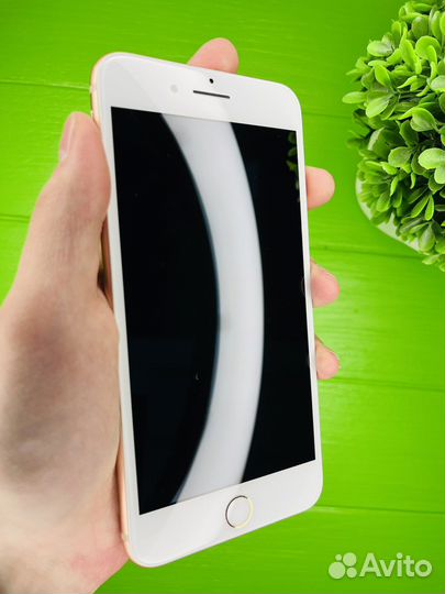 iPhone 8 plus 64gb(акб100);