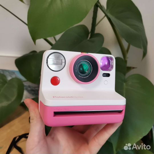 Polaroid Now Редкий Розовый