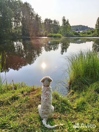 Пакет мягких игрушек