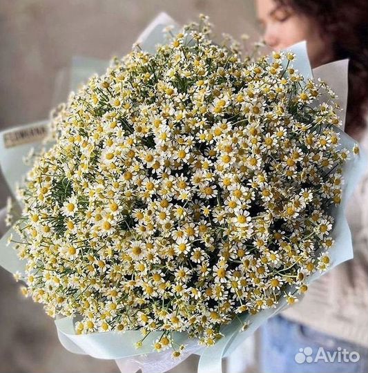 Букеты ромашек