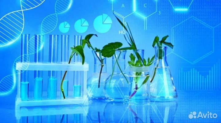 Репетитор по химии и биологии