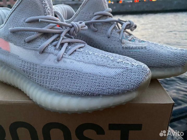 Кроссовки Adidas Yeezy Boost 350 v2 Tail Light