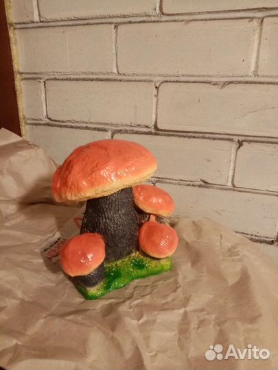 Гриб гипсовый