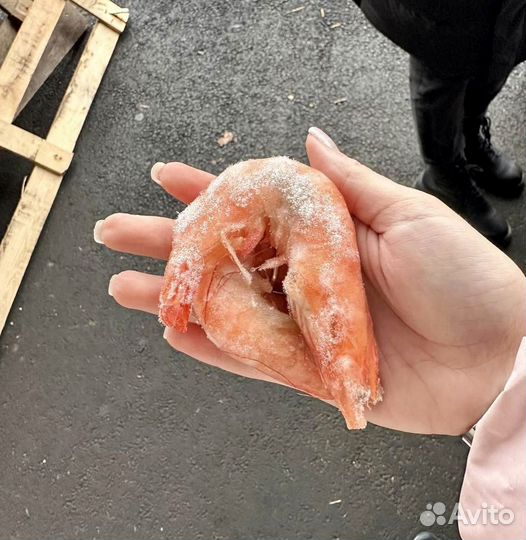 Морепродукты креветки, лангустины доставка