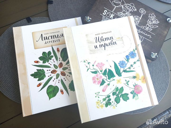 Цветы и травы/Листья деревьев/Миф Гербарий/Пресс