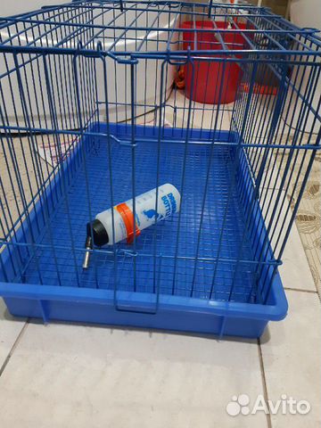 Клетка