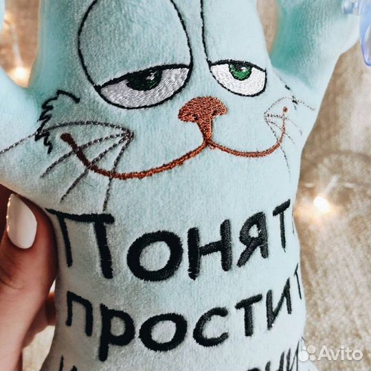 Котик с номером телефона в машину. Автокот