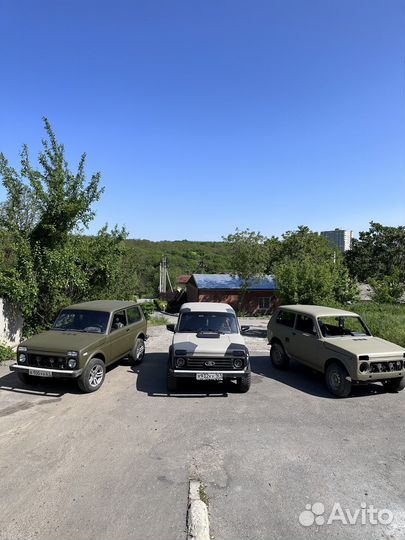 Покраска в Раптор