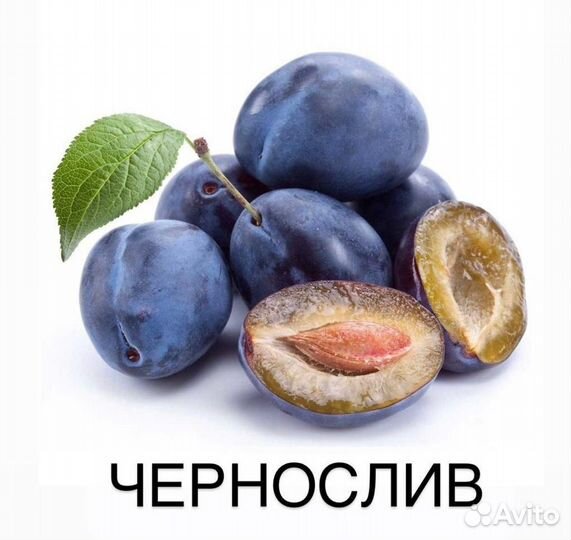 Плодовые деревья