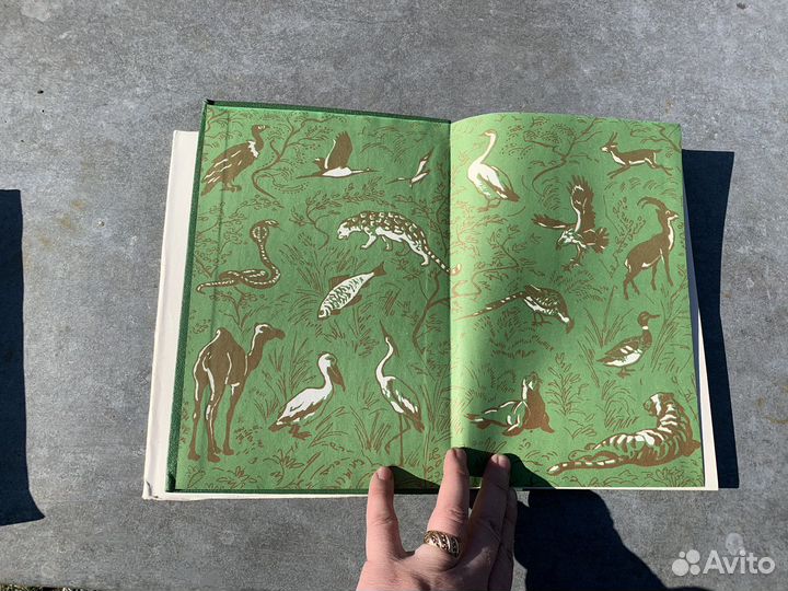 Красота солнечного края