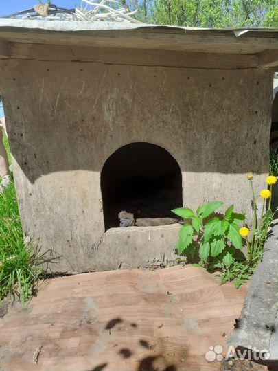 Будка для большой собаки утепленная