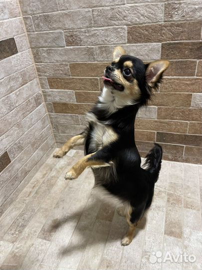 Самая красивая