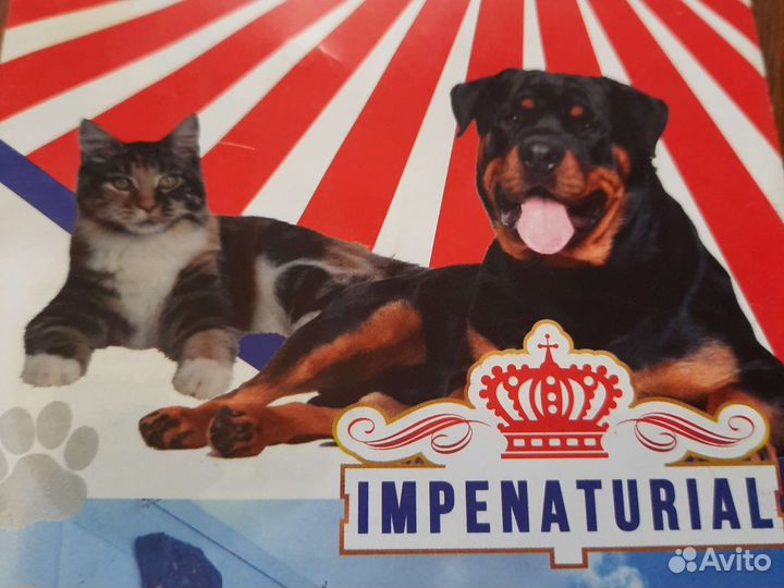 Корм для собак