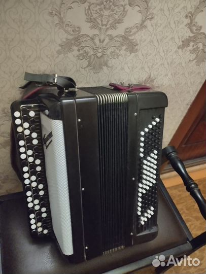 Баян тульский терка