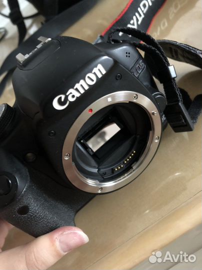 Зеркальный фотоаппарат canon 500d тушка