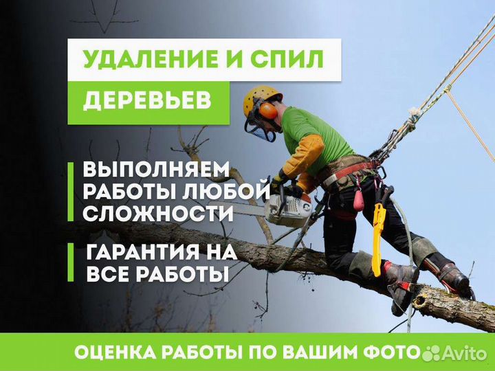 Спилить дерево, опиловка дерева, обрезать ветки