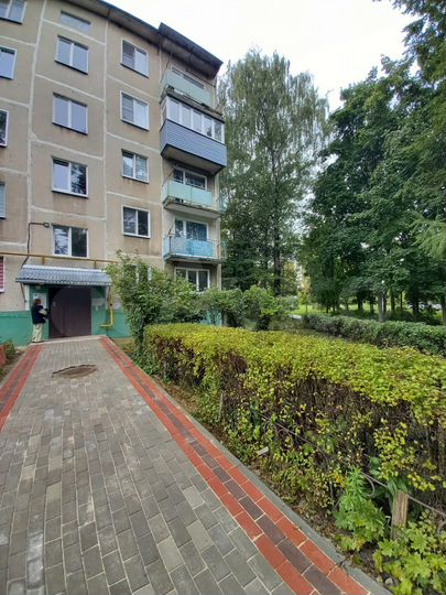 1-к. квартира, 30,7 м², 1/5 эт.