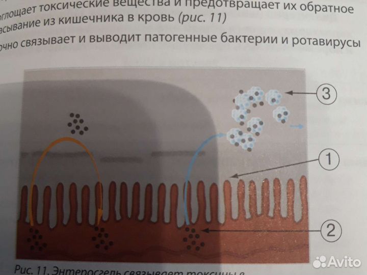 Фармакотерапия антимикробными препаратами в схемах