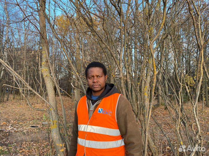 Инженер проектировщик