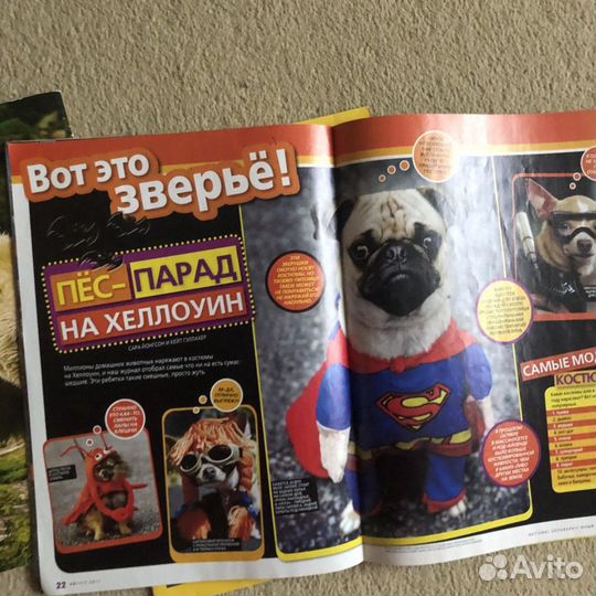 Детские журналы National Geographic