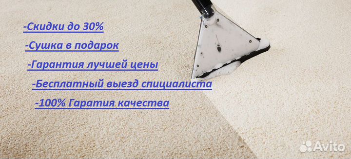 Выезная химчистка ковров и мебели на дому