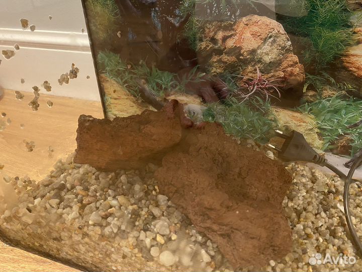 Аквариум 24л