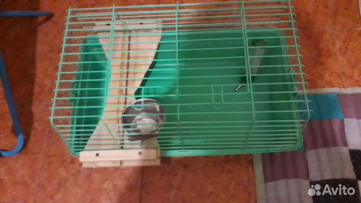 Клетка для грызунов