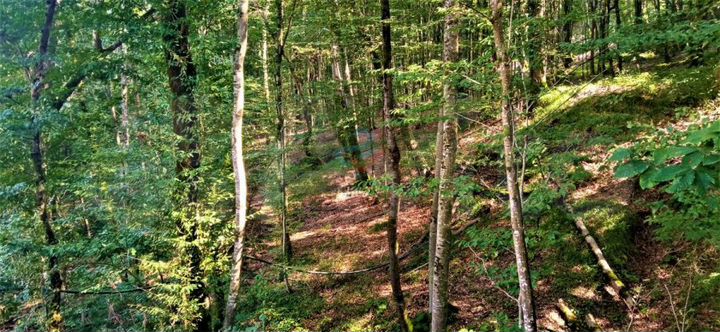 Дом 70 м² на участке 7 сот.