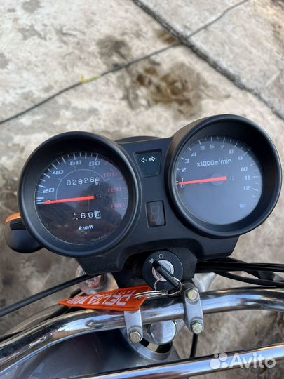 Мопед альфа 110 кубов