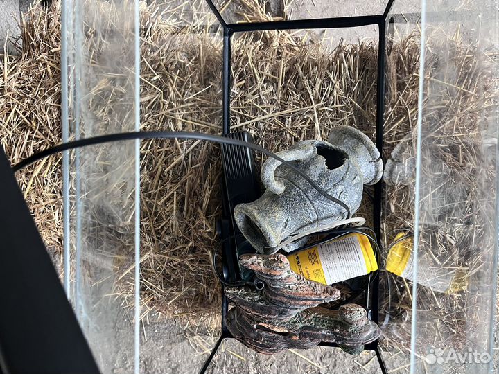 Аквариум для рыб