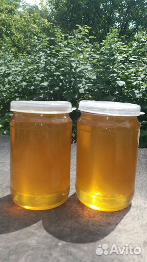 Мёд со своей пасеки