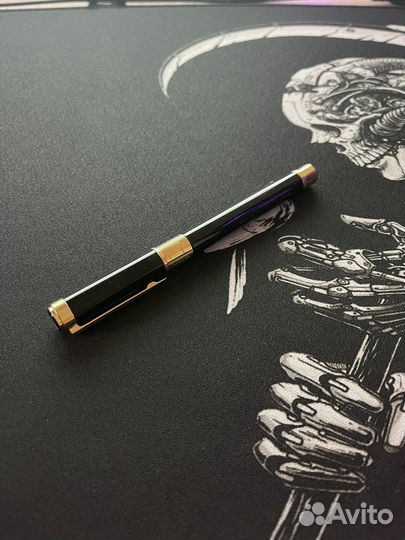 Перьевая ручка Waterman Perspective, F
