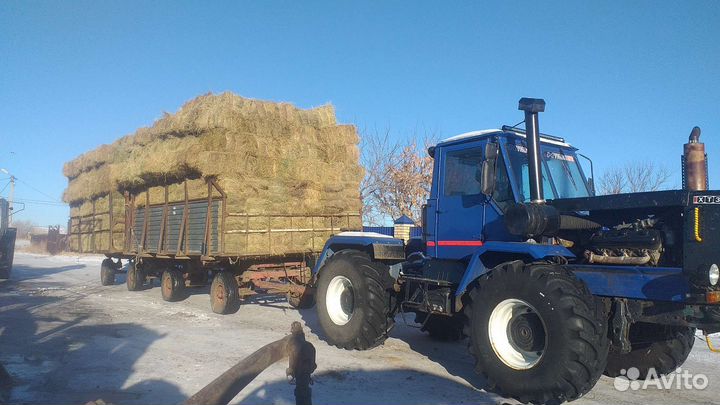 Сено в тюках и рулонах