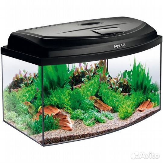 Аквариумы
