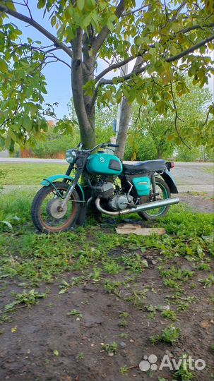 Иж юпитер 3(5)