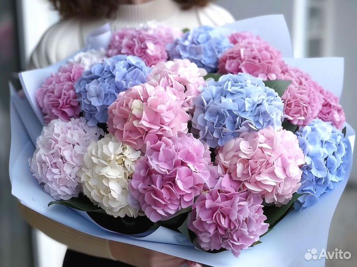 Гортензии с гарнтией и доставкой