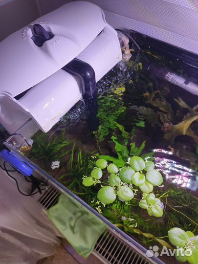 Аквариум на 40 литров