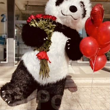 Мишка на день рождения,панда