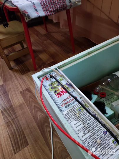 Инкубатор для яиц автоматический бу