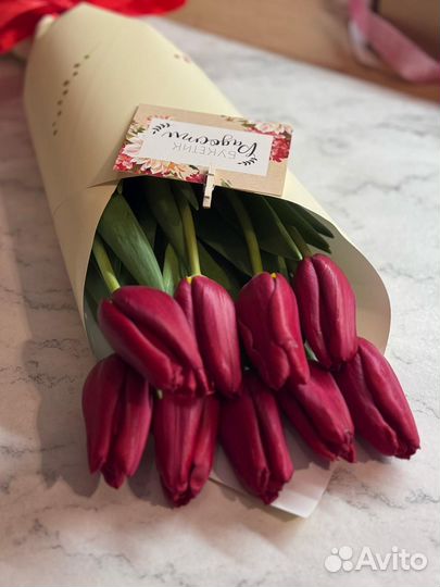 Тюльпаны букет 51шт 101шт