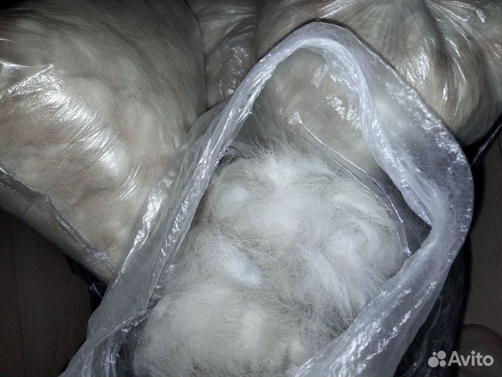 Собачья шерсть пух