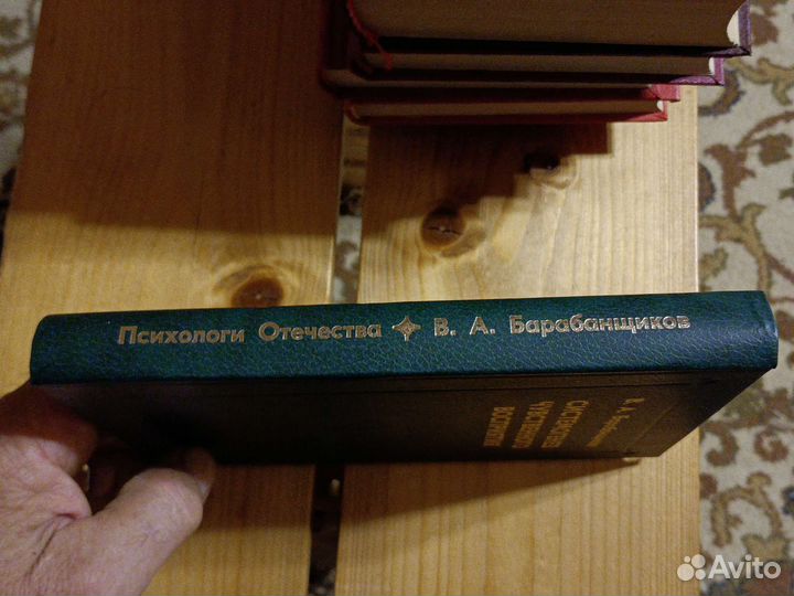 Барабанщиков В. Системогенез чувственного воспитан
